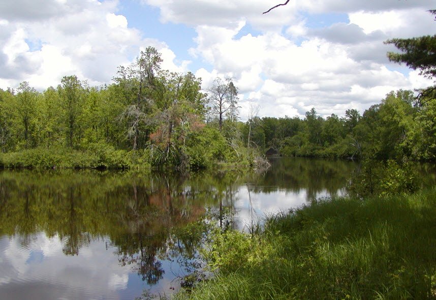 St Croix Islands State Recreation Area, Minnesota, USA
